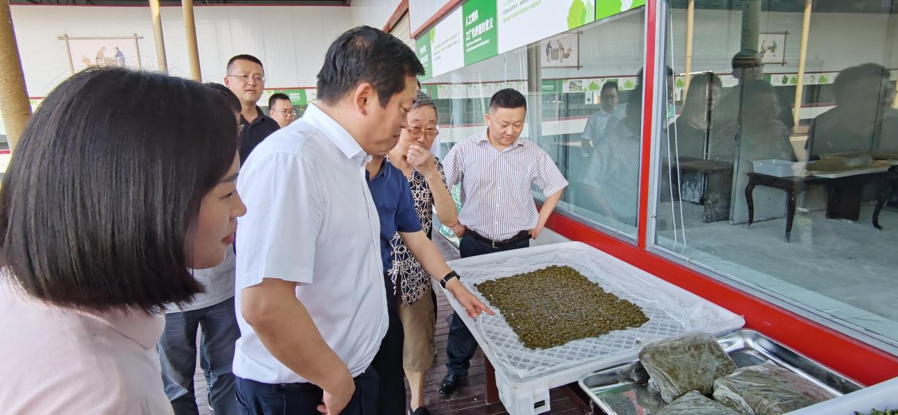 省尊龙凯时集团党委副书记、董事陈日赴嘉陵区调研茶桑产业发展情况